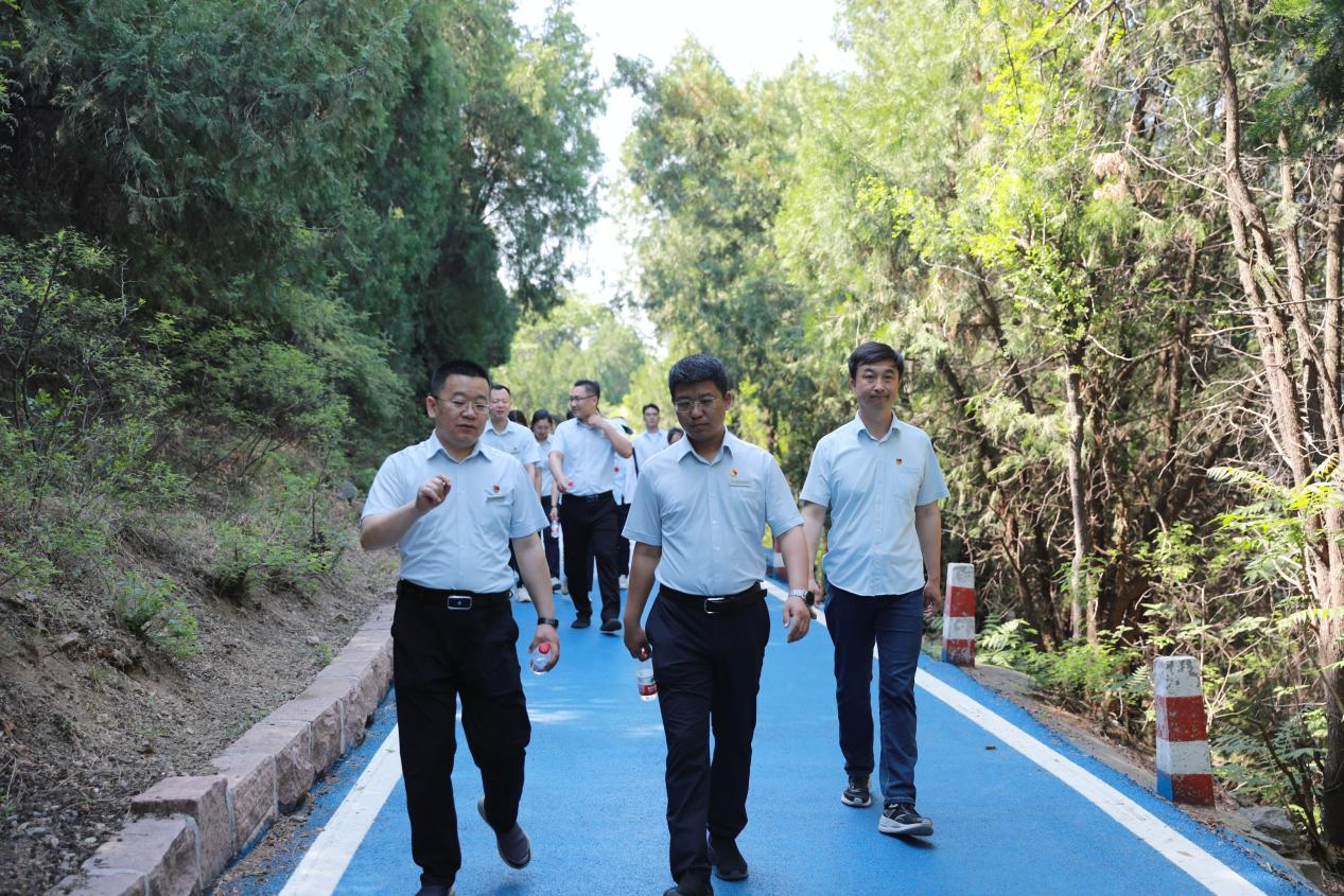 3118�ƶ�����(�й���)�ٷ���վ