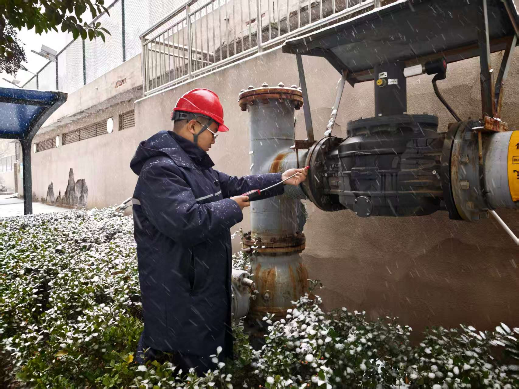 3118云顶集团(中国区)官方网站